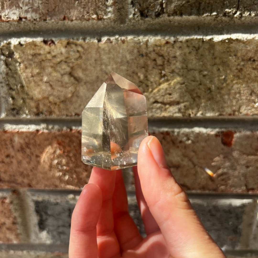 Citrine Pointer Natural